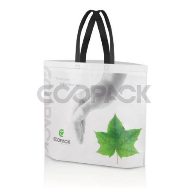 Picture of Laminated Bottom Gusseted Nonwoven Bag with Ecopack Logo
