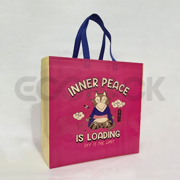 Laminasyonlu Mağaza Alışveriş Çantası resmi