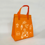 Picture of Food Transport Bag