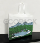 Picture of Eco-Friendly Promotional Bag