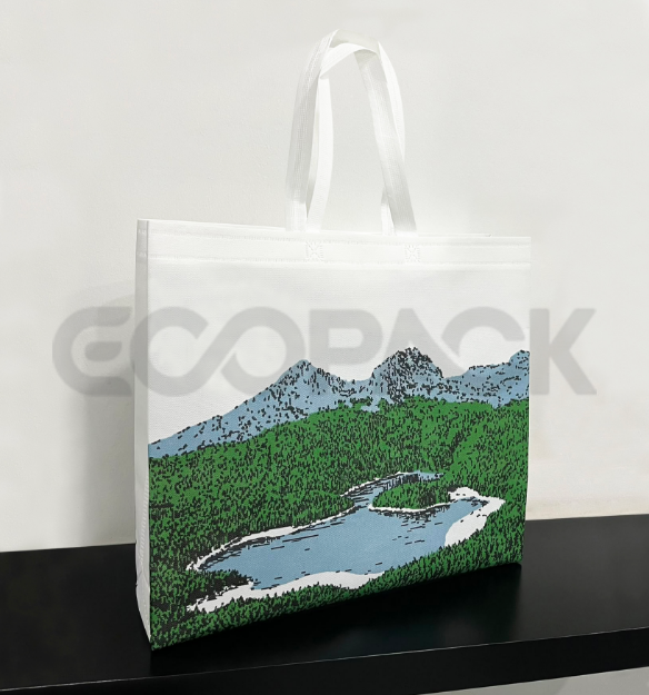 Picture of Eco-Friendly Promotional Bag